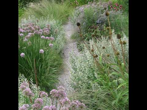 167. Is Gravel Gardening Right For You?