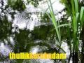 THULLIKKORU KUDAM PEMARI