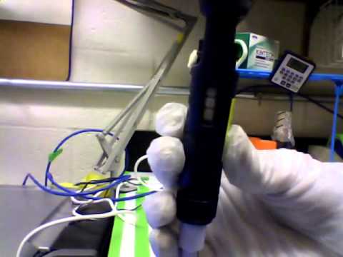 Nanodrop measure of plasmid DNA (FGF4)