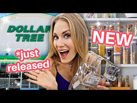Dollar Tree Just Released Their BEST Organization Line Yet ✨