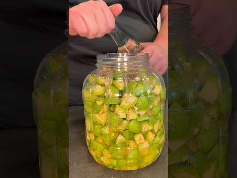 Green Walnut Tincture! 💚 Helps with stomach pain and digestion issues!