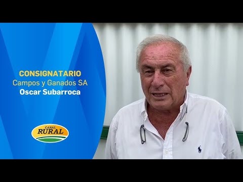 OSCAR SUBARROCA - FIELDS AND LIVESTOCK - MV 05/02/2026