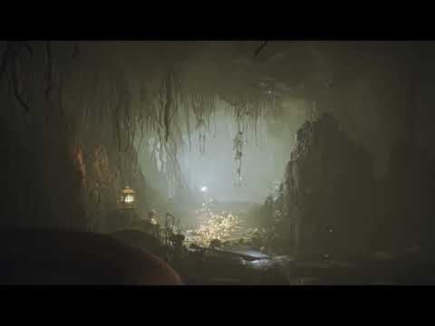 Mushroom Cave | Ambience | 2 hours