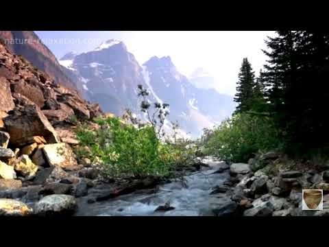 OMULONGO WASSWA  -  Obadde okimanyi nti sente entuffu masanyalazze 🤷🏿‍♂️🤷🏿‍♂️🤷🏿‍♂️