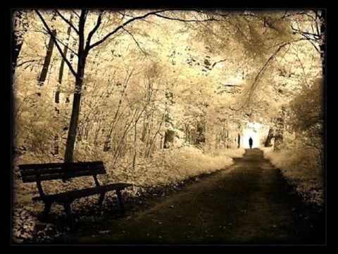 Solleks Notriuz - 9 Ocak