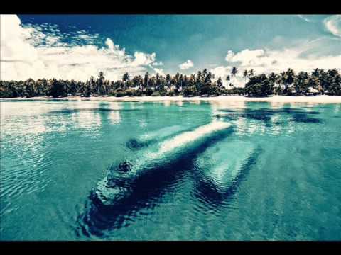 Chainsmokers - Closer - DJ NEX Reggae remix