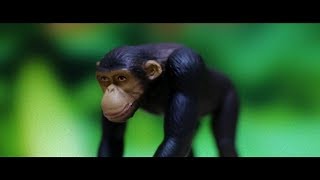ピコン - 暖かい生き物 ft. 初音ミク