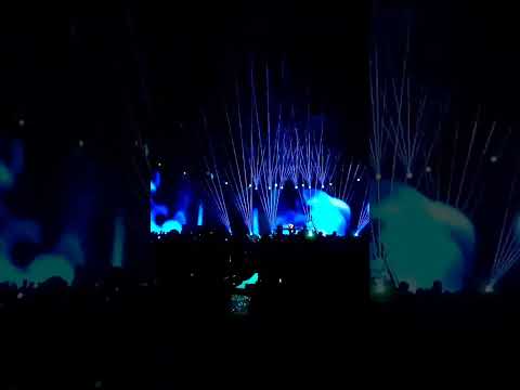 Laser Light Company: Zack Martino "Kill My Heart"