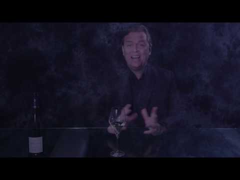 Champagne Vincent d'Astrée - Novae 2009 - Brut Premier Cru