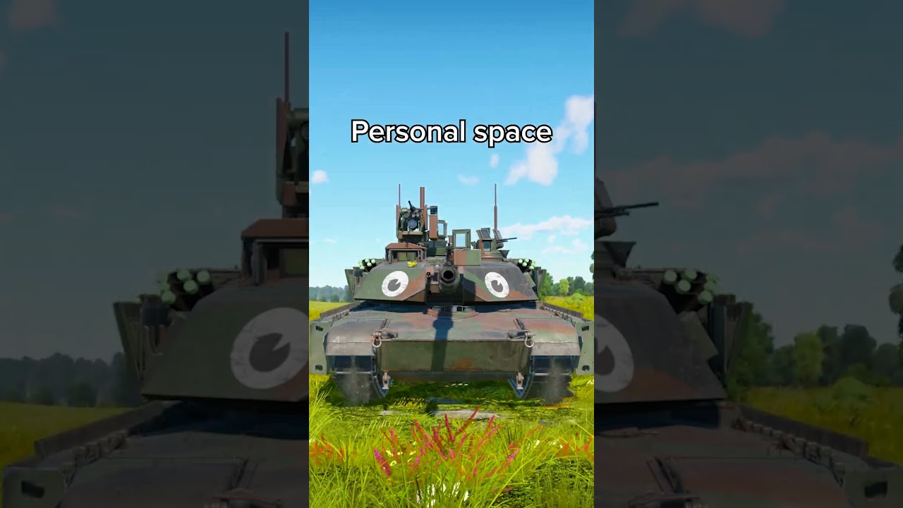 When CAS Players Get a Little Too Close in War Thunder