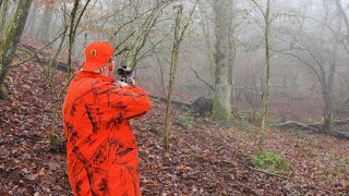 STARKE Rotten im Nebel - Copterpro Drückjagd erster Tag (Jagd 2025)