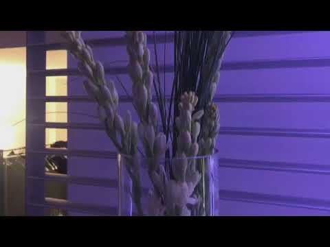 Festa 18 anni Ilaria alla Terrazza Euclide a Roma www.stareventi.com