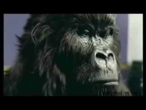 Vybz Kartel  goes ape!!!