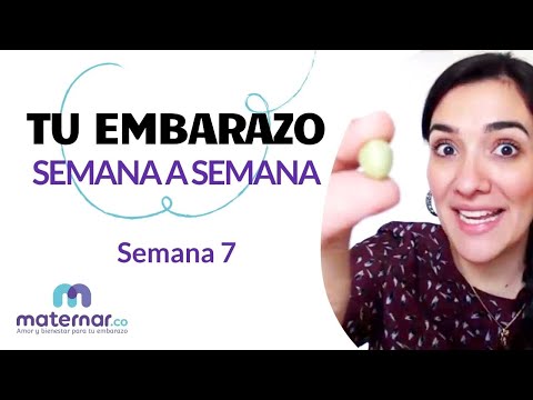 Semana 7 | Tu embarazo semana a semana | Maternar.co
