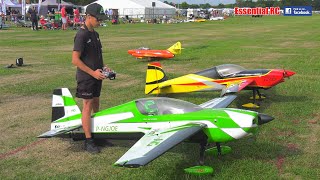 GO JOE ! SUPER 3D RC FLYING DEMO | Southern Model Show