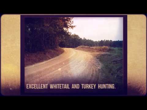 Archive 71 Video thumbnail