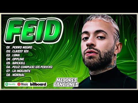 Feid Mix Éxitos 2024 - Lo Más Popular de Feid 2024