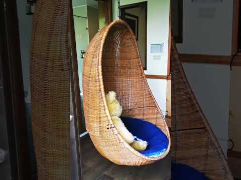 #taiwanderful #goingtohome #miaoli #zhuoyahut