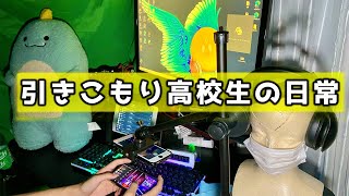 引きこもりニート高校生のゲーム手元を撮る日常