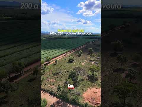 Fazenda 131,7 alqueires ( 637,4 hectares) -São Luiz do Norte-GO #fazendaavenda #agro