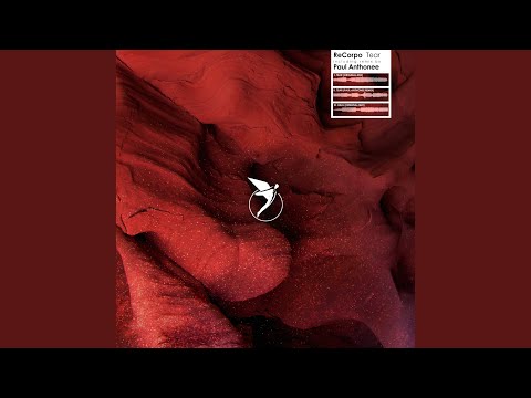Tear (Paul Anthonee Remix)