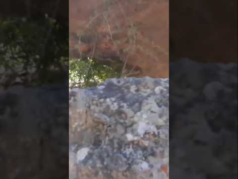 CUEVAS EN LAS MONTAÑAS, CAMINIAGA,  CERRO COLORADO, CÓRDOBA