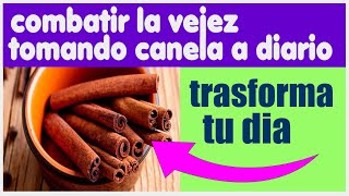 cómo la canela puede transformormar tu vida diaria