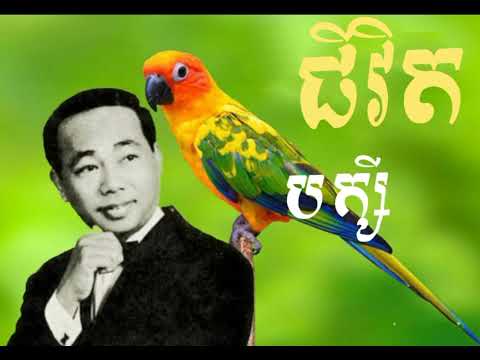 ជីវិតបក្សី - ស៊ិនស៊ីសាមុត