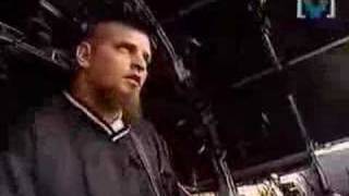 Soulfly No hope- no fear (live)