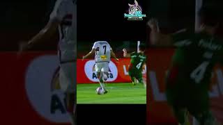 Var chamou, Penalti? (Botafogo-SP x Palmeiras) Paulistão 01/02/2026