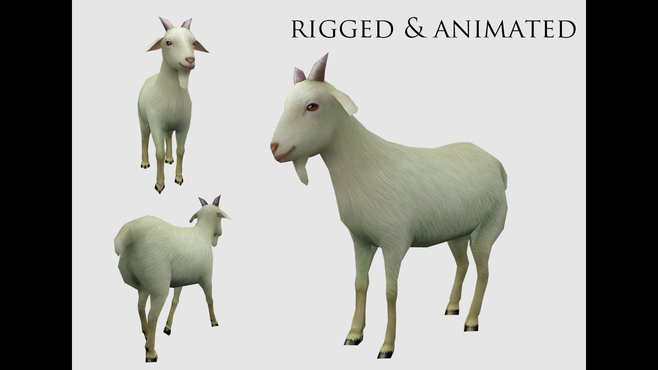 Animated goat sheep 3D Model