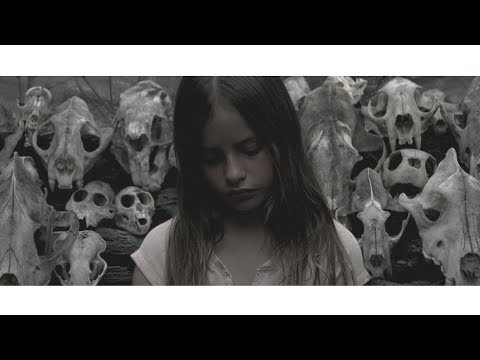 shaw x Yann - wolny wybór (instr. Ironic)