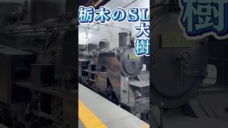 栃木のSL大樹に乗ってきたっちゃま～！#旅行 #vlog