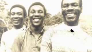 Toots & The Maytals - Reggae Got Soul video