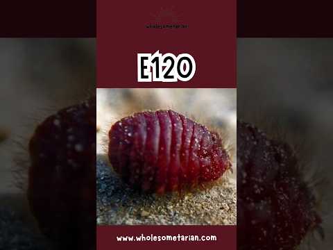 #e120 #redfood #foodcolour #redfoodchallenge #choline #cochin #cochinilla #wholesometarian