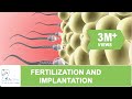 FERTILIZATION AND IMPLANTATION