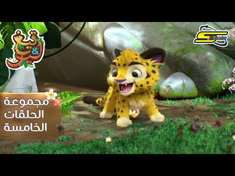 سبيستون | تيغ وليو  - المجموعة الخامسة