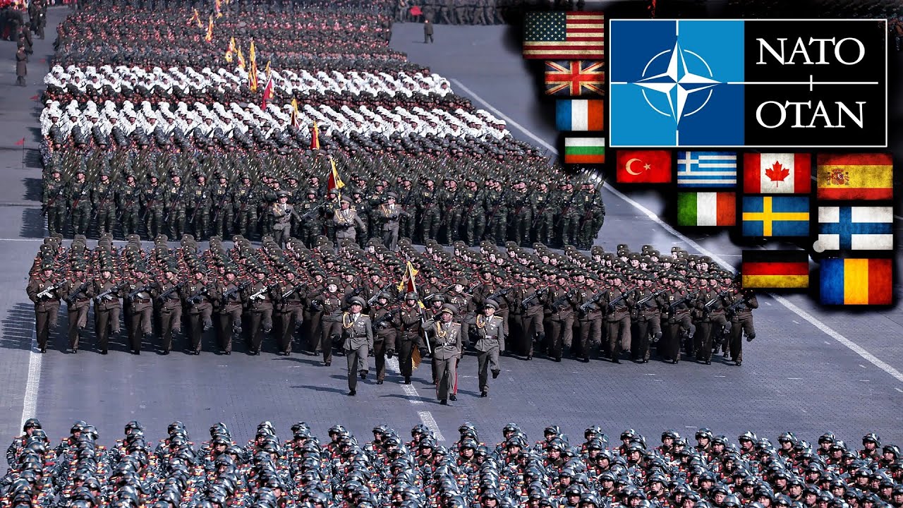 32 Most Powerful Militaries in NATO | You'll Be Surprised | 2025