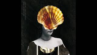 The Sun and The Mirror - Dissolution to Salt and Bone (Full Album 2021)