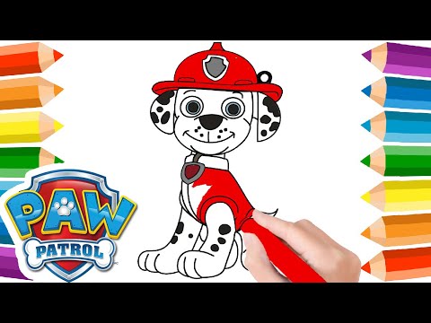 Dessin Coloriage Chien Pat Patrouille Marcus 🐾 Colorier Dessiner Pat Patrouille Paw Patrol 🎨