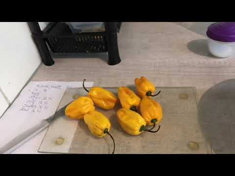 Madame Jeanette saus | DIY| hot hot