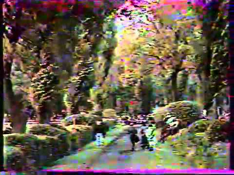 93. Velká pardubická steeplechase - 1983