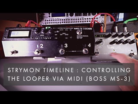 Strymon Timeline : Controlling the looper via midi (Boss MS-3)