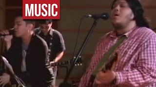 Stonefree - &quot;LSS&quot; Live!