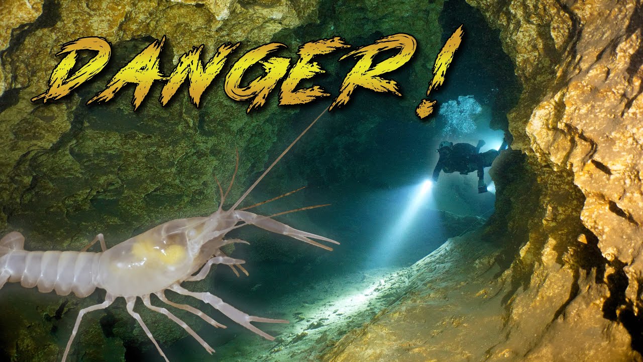 The Dangers of Cave Diving (reviewing the rules)