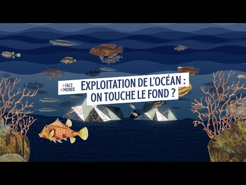 Exploitation de l'océan : on touche le fond ?