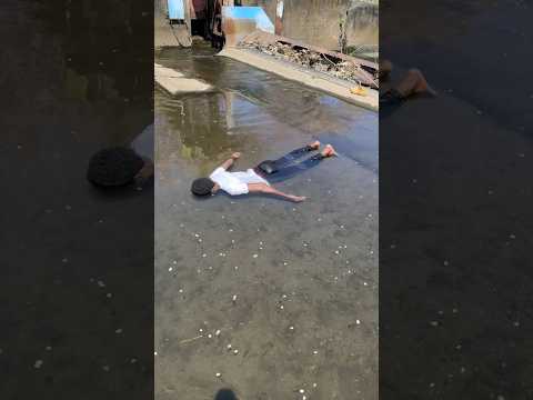 庭に落ちた猫のうんちはどうすればいいの? 庭の練習