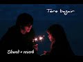 Tere Bagair Amrinder Gill Slowed Reverb