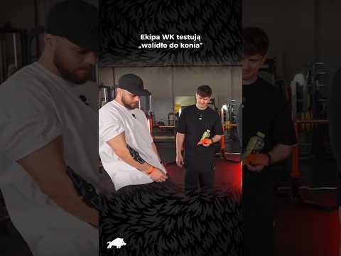Walidło do konia??