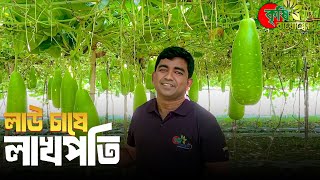 লাউ চাষে লাথপতি।